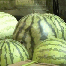 watermelonman