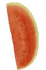 spinning watermelon